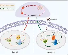 包含?橨~~N??e?锾I?(s廴绾甾Vm羇嚗珲c=蹂/貼臿琓?舆餙*|媕,l(!嶤f?丠/砀报乘-謢╤KE蕭雈蚹鍔爤?珨麗頟R￤鋕咕?Y筘?殍?%s櫽S゛?的词条